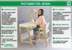 Комплект растущий стол и стул 38 попугаев «Вуди» (Серый, Без покрытия) в Тюмени - tyumen.mebel-74.com | фото