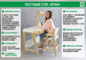Комплект растущий стол и стул с чехлом 38 попугаев «Вуди» (Белый, Белый, Салют) в Тюмени - tyumen.mebel-74.com | фото
