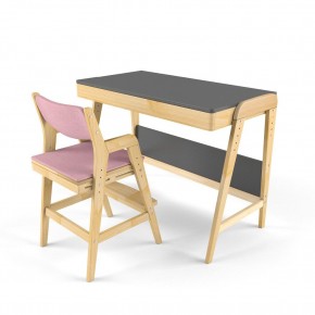 Комплект растущий стол и стул с чехлом 38 попугаев «Вуди» (Серый, Береза, Розовый) в Тюмени - tyumen.mebel-74.com | фото