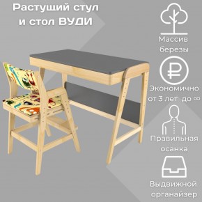 Комплект растущий стол и стул с чехлом 38 попугаев «Вуди» (Серый, Без покрытия, Монстры) в Тюмени - tyumen.mebel-74.com | фото
