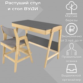 Комплект растущий стол и стул с чехлом 38 попугаев «Вуди» (Серый, Без покрытия, Серый) в Тюмени - tyumen.mebel-74.com | фото