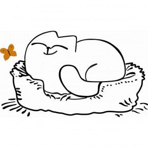 Кровать двухуровневая Кот № 900.1 ЛЕВАЯ (туя светлая/белый) в Тюмени - tyumen.mebel-74.com | фото