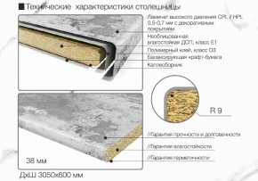 Кухонный фартук со столешницей (А-01) в едином стиле (3050 мм) в Тюмени - tyumen.mebel-74.com | фото
