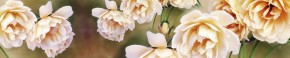 Кухонный фартук Цветы 066 МДФ матовый (3000) Flowers в Тюмени - tyumen.mebel-74.com | фото