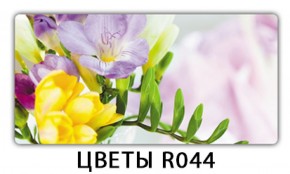 Обеденный раздвижной стол Бриз с фотопечатью Цветы R044 в Тюмени - tyumen.mebel-74.com | фото