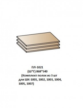 ПЛ-1021 (Комплект полок из 3 шт для ШК-1001, 1002, 1003, 1004, 1005, 1007) в Тюмени - tyumen.mebel-74.com | фото