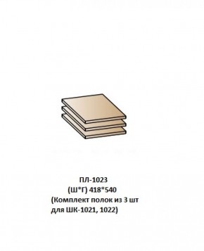 ПЛ-1023 (Комплект полок из 3 шт для ШК-1021, 1022) в Тюмени - tyumen.mebel-74.com | фото