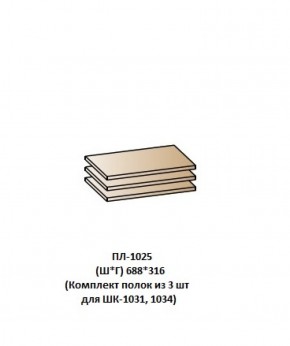 ПЛ-1025 (Комплект полок из 3 шт для ШК-1031, 1034) в Тюмени - tyumen.mebel-74.com | фото