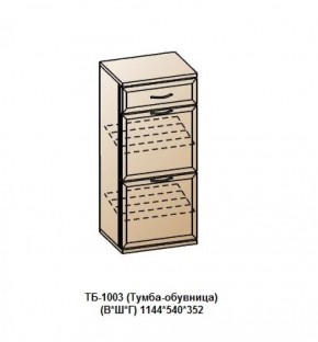 Прихожая Карина (модульная) в Тюмени - tyumen.mebel-74.com | фото