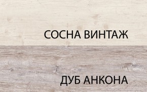 Шкаф 2D1S, MONAKO, цвет Сосна винтаж/дуб анкона в Тюмени - tyumen.mebel-74.com | фото