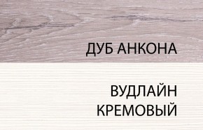 Шкаф 2DG, OLIVIA, цвет вудлайн крем/дуб анкона в Тюмени - tyumen.mebel-74.com | фото