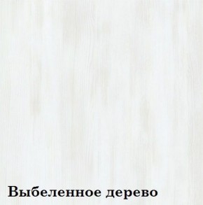 Шкаф 6-ти секционный Люкс 6 Плюс ЛДСП Стандарт (фасад Зеркало) в Тюмени - tyumen.mebel-74.com | фото