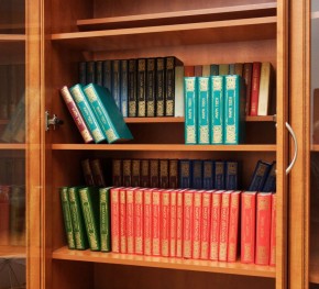 Шкаф для книг арт. 200 в Тюмени - tyumen.mebel-74.com | фото