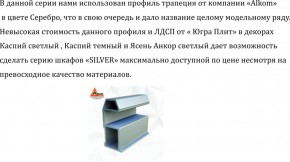 Шкаф-купе 1500 серии SILVER S4+S3Z+B2+PL1 (2 ящика+1 штанга) профиль «Серебро» в Тюмени - tyumen.mebel-74.com | фото