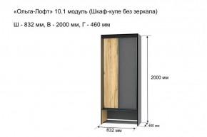 Шкаф купе без зеркала "Ольга-Лофт 10.1" в Тюмени - tyumen.mebel-74.com | фото