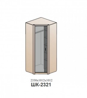 Шкаф ШЕР Дуб серый/айронвуд серебро (ШК-2321) в Тюмени - tyumen.mebel-74.com | фото