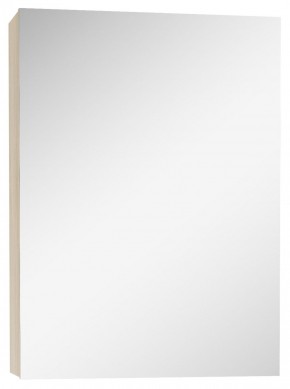 Шкаф-зеркало Мечта 40 Дуб сонома АЙСБЕРГ (DM2317HZ) в Тюмени - tyumen.mebel-74.com | фото
