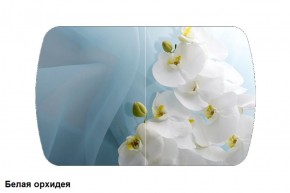 Стол Бостон 2 (1100*700) опоры Брифинг (Стекло/фотопечать Белая орхидея) в Тюмени - tyumen.mebel-74.com | фото