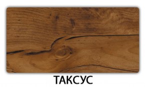 Стол раскладной-бабочка Трилогия пластик Таксус в Тюмени - tyumen.mebel-74.com | фото