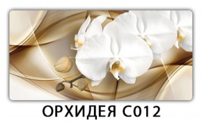 Стол раздвижной Трилогия с фотопечатью Орхидея C012 в Тюмени - tyumen.mebel-74.com | фото