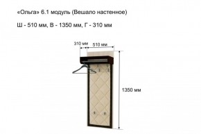 Вешало настенное "Ольга 6.1" в Тюмени - tyumen.mebel-74.com | фото